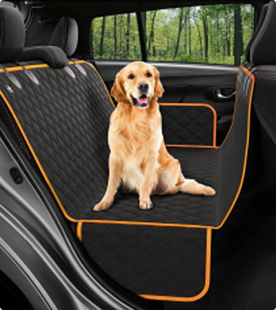 Alagang hayop ng alagang hayop